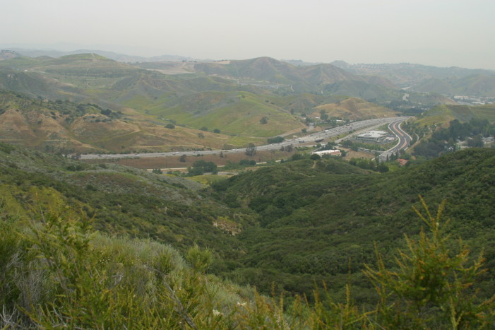 Wildlife Crossings – Coming Soon to a Freeway Near You?