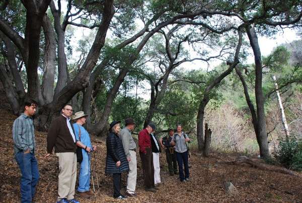 HOUSING RIGHT UP THE RIDGE -- The wild corridor is home to a variety of SoCal critters.